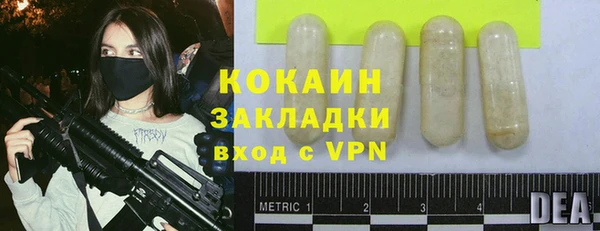 индика Нязепетровск
