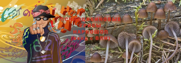 apvp Аксай