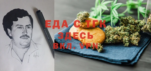 индика Нязепетровск