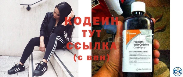 индика Нязепетровск