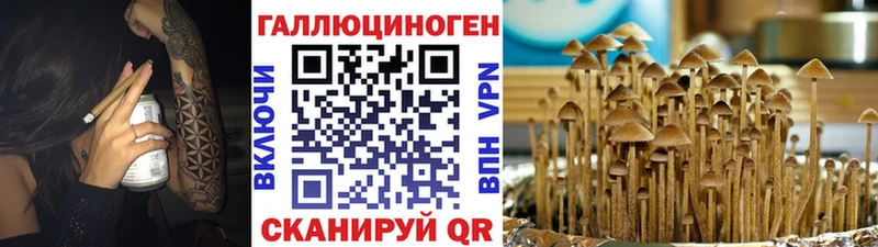 Псилоцибиновые грибы ЛСД Усть-Катав