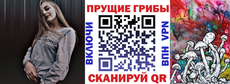 Псилоцибиновые грибы MAGIC MUSHROOMS  хочу   маркетплейс как зайти  Усть-Катав 